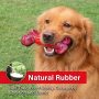 Pet Dog Toys for Aggressive Chewers Large Breed, Apasiri  Chew Durable  Bones Made with Nylon and Rubber