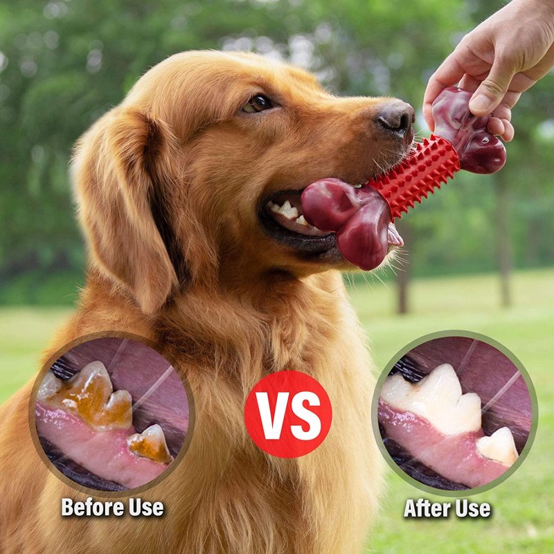 Pet Dog Toys for Aggressive Chewers Large Breed, Apasiri  Chew Durable  Bones Made with Nylon and Rubber
