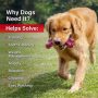 Pet Dog Toys for Aggressive Chewers Large Breed, Apasiri  Chew Durable  Bones Made with Nylon and Rubber