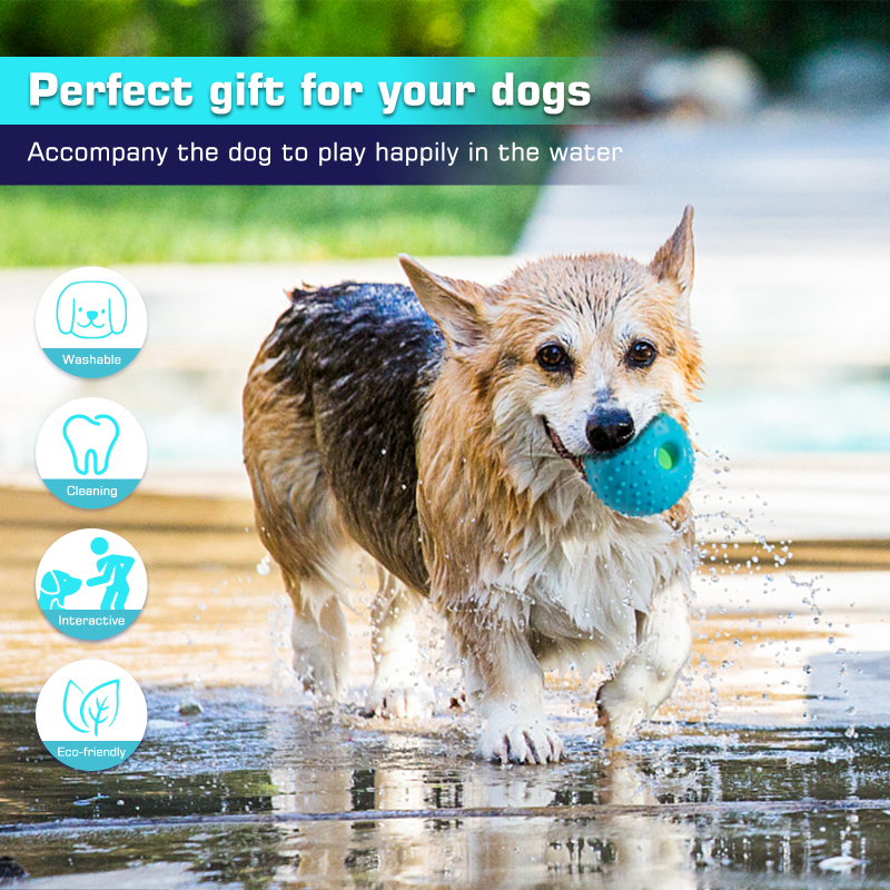 Brightness Pet Toys Ball With Voice Wish Dog Tooth For Dog