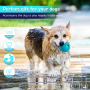 Brightness Pet Toys Ball With Voice Wish Dog Tooth For Dog