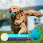 Brightness Pet Toys Ball With Voice Wish Dog Tooth For Dog