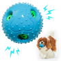 Brightness Pet Toys Ball With Voice Wish Dog Tooth For Dog