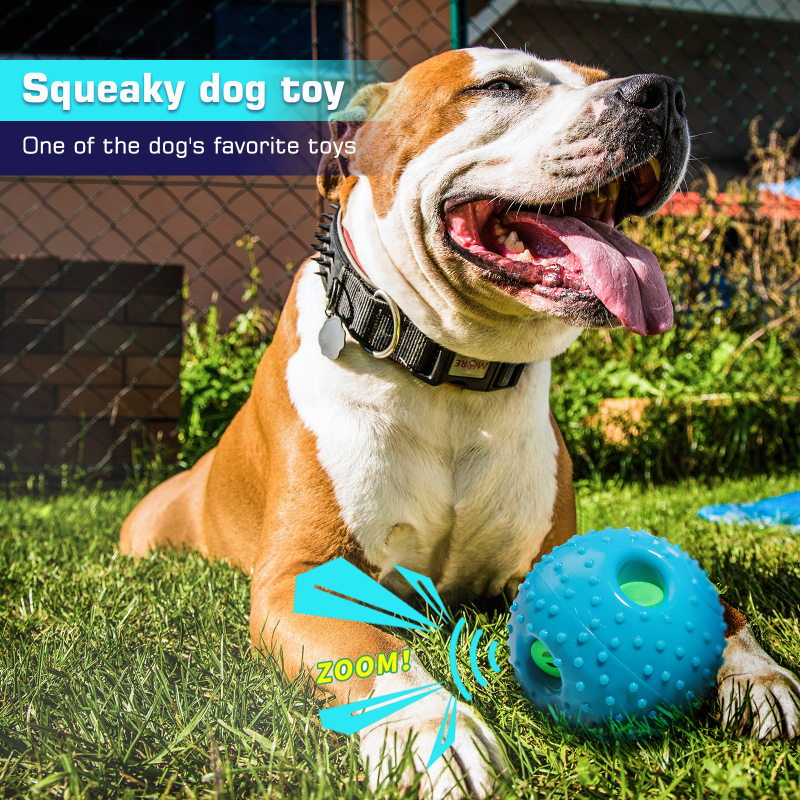 Brightness Pet Toys Ball With Voice Wish Dog Tooth For Dog