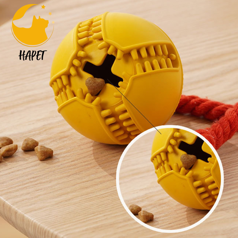 Pet Ball with Rope Fetch and Chew Toy Pet Products