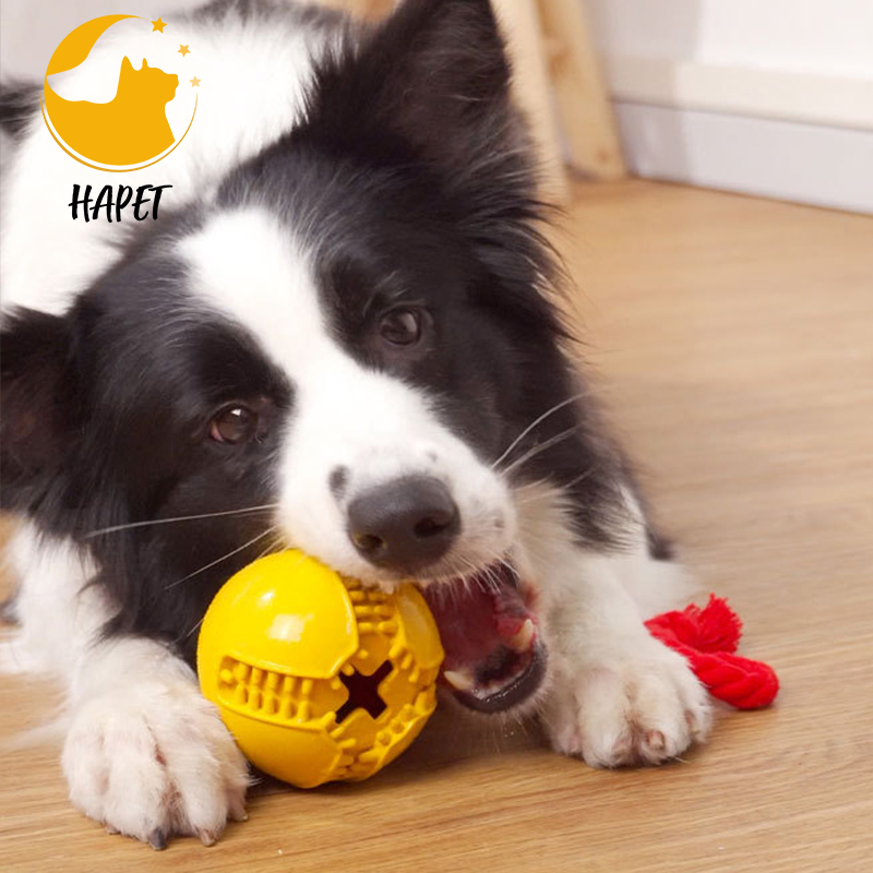 Pet Ball with Rope Fetch and Chew Toy Pet Products