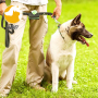 Dog Poop Bag Holder Pet Dog Waste Bag Dispenser Leash Attachment