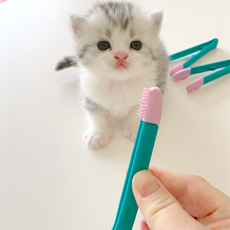 New arrive Cat eye poop brush Cleaner Fast and Easy to Clean The Cat