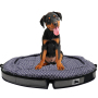 Orthopedic Dog Bed for Medium Large Extra Large Dogs Foam Sofa with Removable Washable Cover
