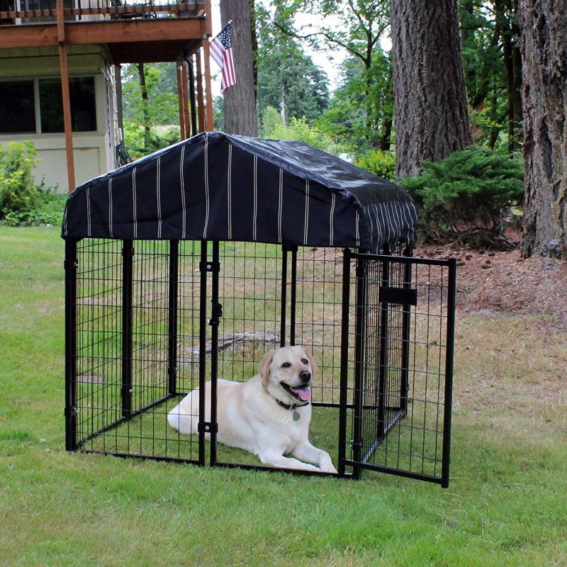 Canopy Roof Villa Dog Kennel Single Gate Door