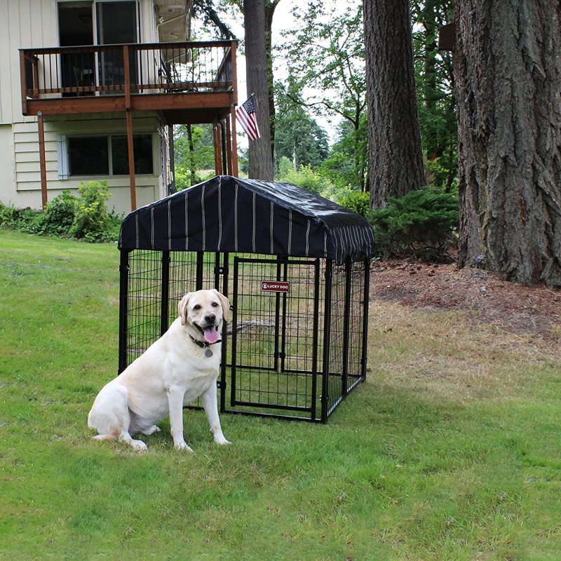 Canopy Roof Villa Dog Kennel Single Gate Door