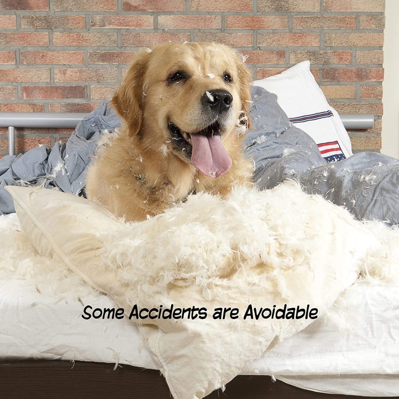 Pet Gate Collection Dog Gate for Doorways Stairs or House Freestanding Folding Wooden Indoor Dog Fence Collection
