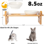 dogs Cats Feeder Bowl Dispenser Double Pet Bowls For Cat