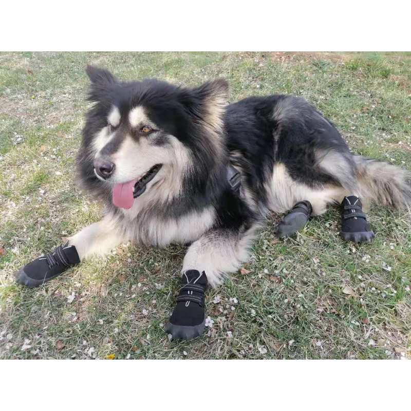 Dog Boots Waterproof Dog Shoes with Sturdy Anti-Slip Soles and Fleece Lining for Outdoor Activities