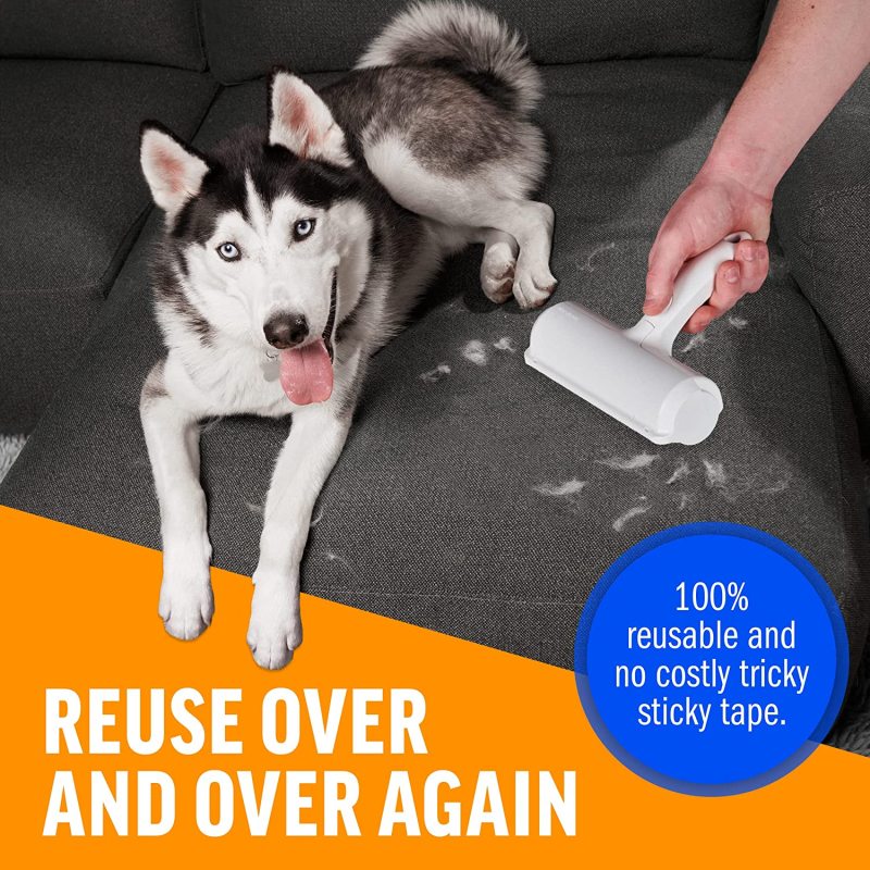 Wholesale Reusable Cat and Dog Pet Hair Remover On Furniture Home Use Animal Fur Removal Tool