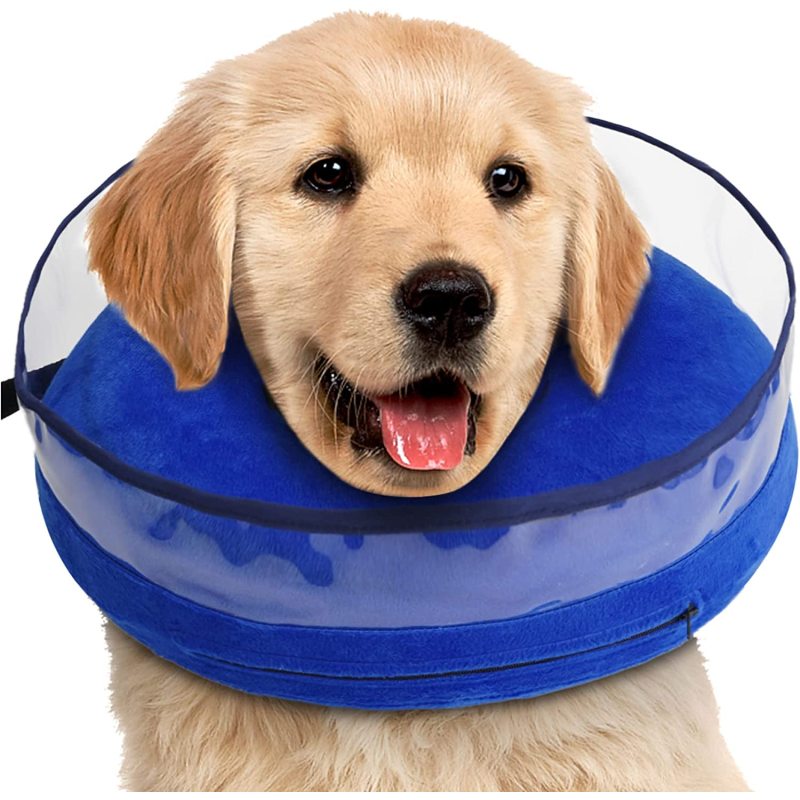 After Surgery with Enhanced Dog Cone Collar Soft Inflatable for Unrestricted in Daily Life