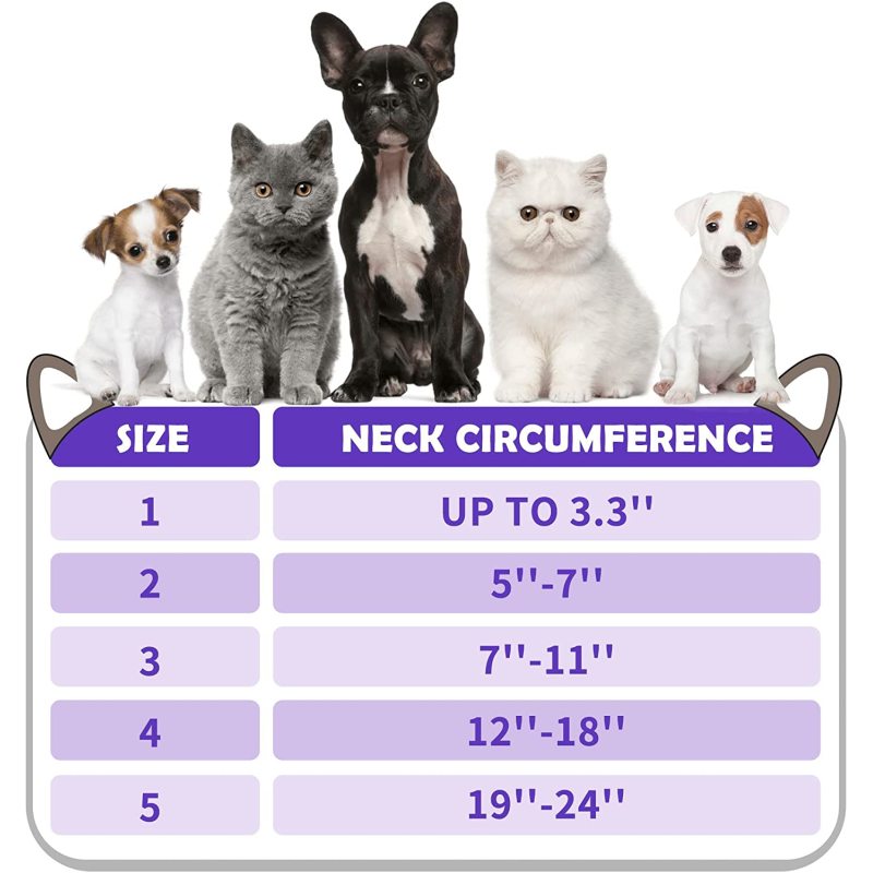 After Surgery with Enhanced Dog Cone Collar Soft Inflatable for Unrestricted in Daily Life