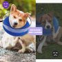 After Surgery with Enhanced Dog Cone Collar Soft Inflatable for Unrestricted in Daily Life