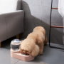 Meipire Dog Cat Double Bowls Automatic Cat Feeder and Water Dispenser, Pet Food and Water Feeder Bowls with Automatic Water