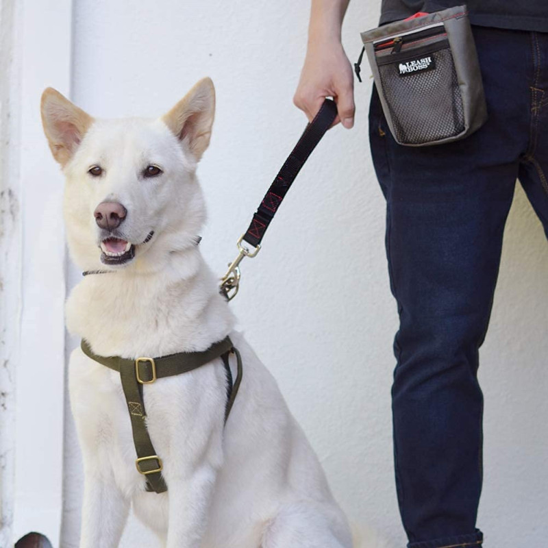 Padded Handle  Short Dog Leash Lead for Large Dogs