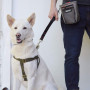 Padded Handle  Short Dog Leash Lead for Large Dogs