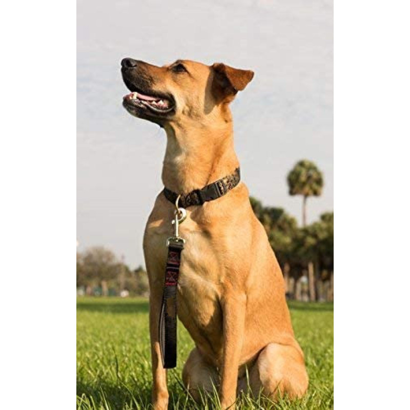Padded Handle  Short Dog Leash Lead for Large Dogs