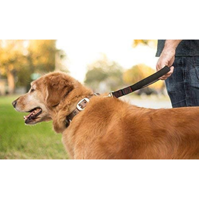 Padded Handle  Short Dog Leash Lead for Large Dogs