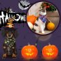 Dog Bandanas Halloween for Pet Scarf Halloween Accessories for Large Medium Small Puppy