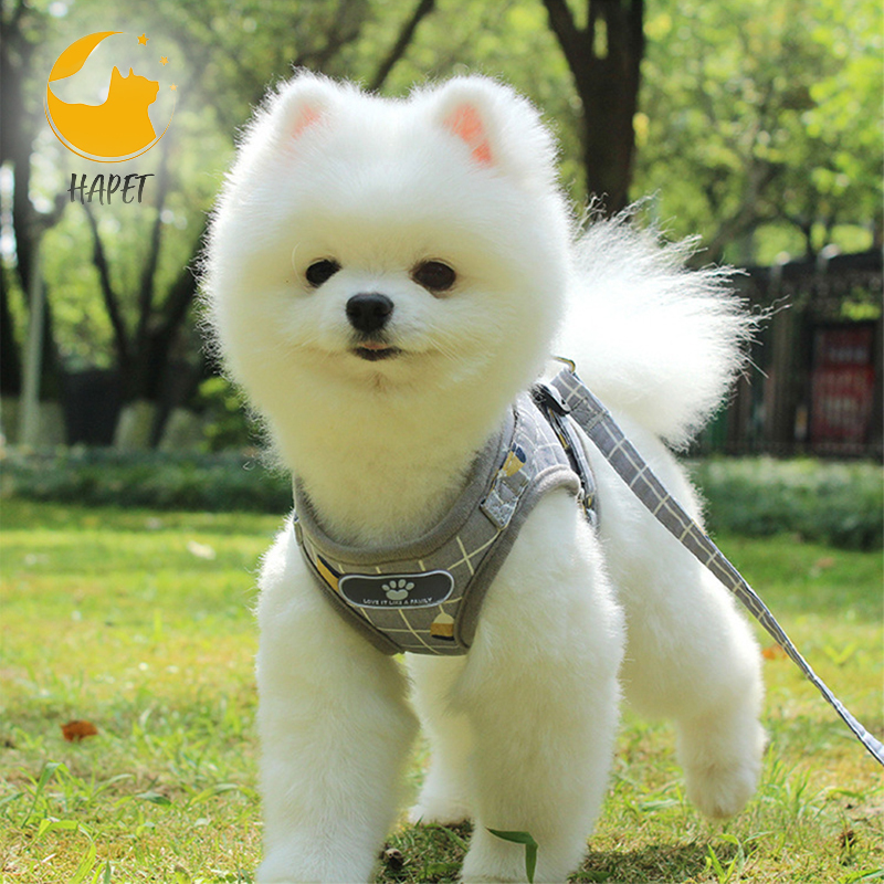 Dog Harness Updated Style Soft Mesh Breathable Vest Harness with Leash