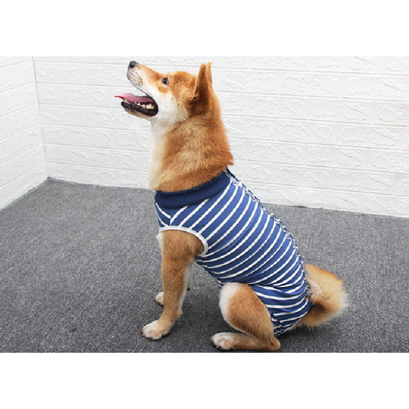 Recovery Suit for Dogs Cats After Surgery Male Female Dog Abdominal Wounds Bandages Cone E-Collar Alternative