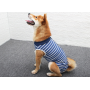 Recovery Suit for Dogs Cats After Surgery Male Female Dog Abdominal Wounds Bandages Cone E-Collar Alternative