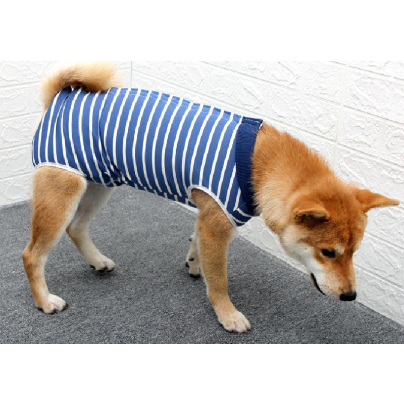 Recovery Suit for Dogs Cats After Surgery Male Female Dog Abdominal Wounds Bandages Cone E-Collar Alternative