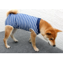 Recovery Suit for Dogs Cats After Surgery Male Female Dog Abdominal Wounds Bandages Cone E-Collar Alternative