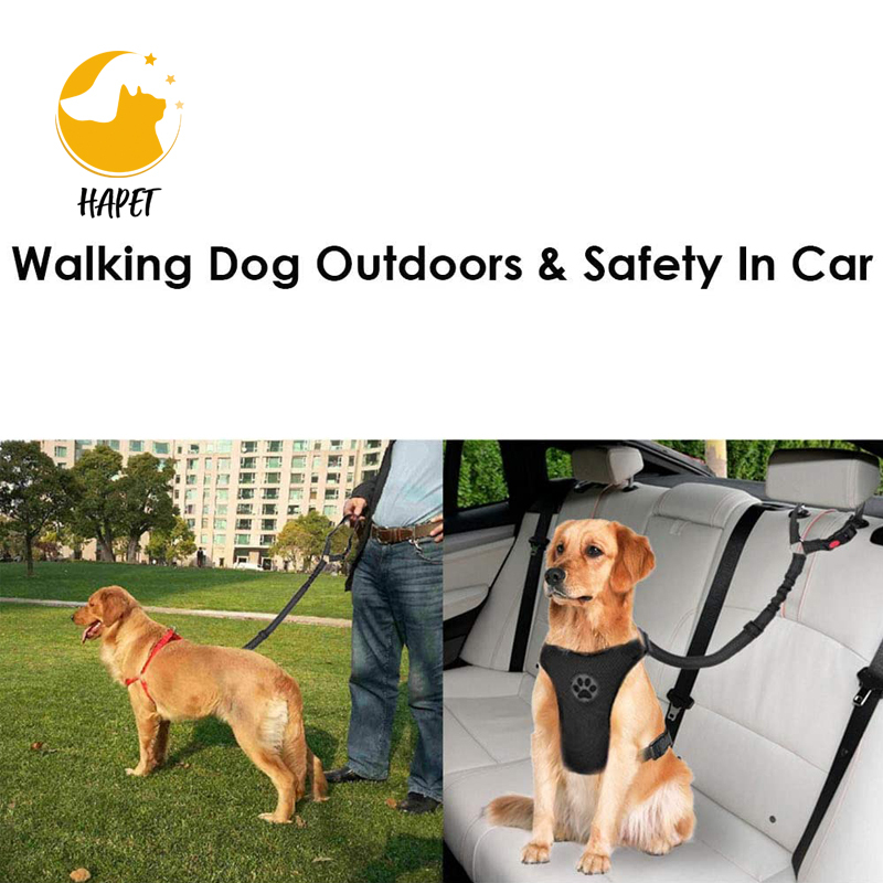 Pet Leash for Car with Dog Retractable with Pet Leash Travel and outdoor Walking