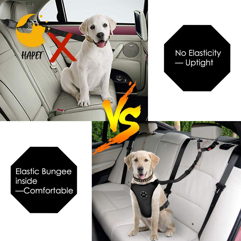 Pet Leash for Car with Dog Retractable with Pet Leash Travel and outdoor Walking