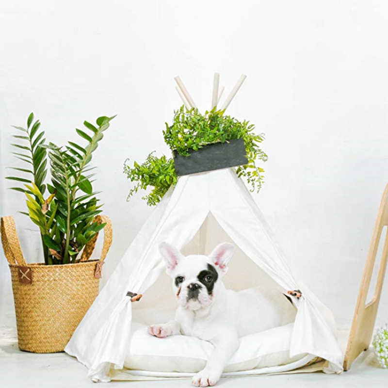 Foldable Indoor Cat Dog Teepee Bed House Pet Cave Condo Portable Burrow Nest Washable Hideaway Dog Cat Tent with Cushion