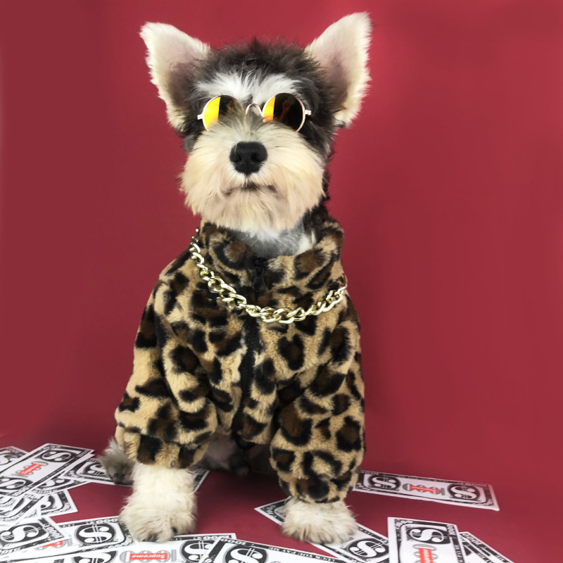 Luxury Dog Leopard Print Faux Fur Coat pet Dog Autumn Winter Clothes Warm Jacket Outdoor pet coat