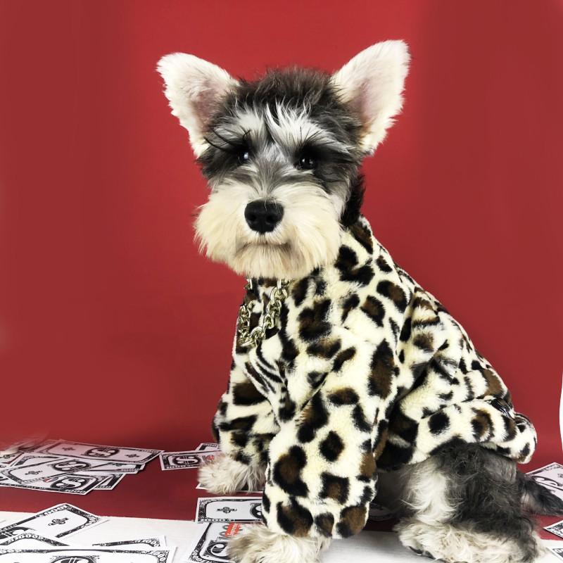 Luxury Dog Leopard Print Faux Fur Coat pet Dog Autumn Winter Clothes Warm Jacket Outdoor pet coat