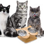 Cat Feeder Bowl Stand Wooden Dog Small Pet Food Set