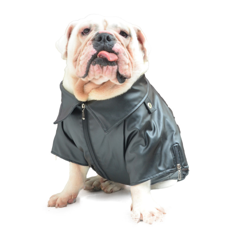 Dog Pu Jacket Pet Faux Leather Motorcycle Jacket for Dog Pet Clothes Waterproof Leather Jacket
