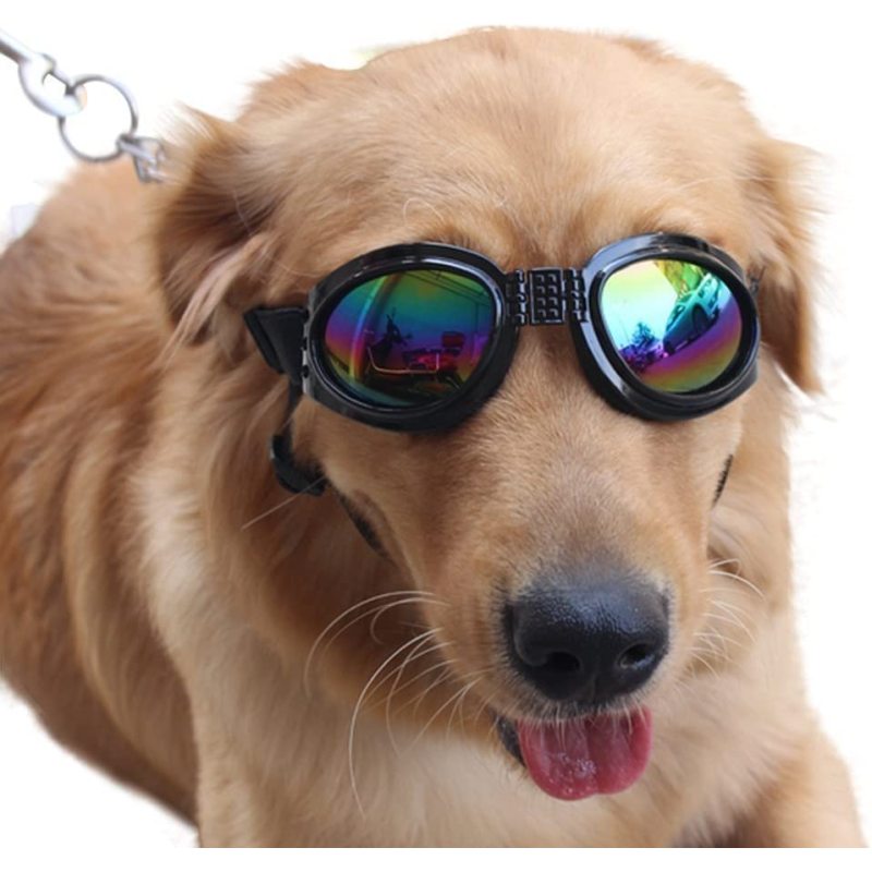 Travel Outdoor Pet Sunglasses Eye Wear Protection Waterproof for Dogs