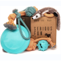 Birthday Present Dog Toys Set Puppy Teething Toys for Boredom