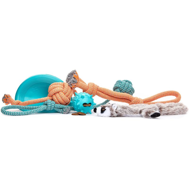 Birthday Present Dog Toys Set Puppy Teething Toys for Boredom