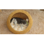 Handmade Cat PP Rattan Climbing Frame  Small Dogs Wicker Scratcher Delivery Room Cage Villa Cat Basket House