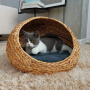 Handmade Cat PP Rattan Climbing Frame  Small Dogs Wicker Scratcher Delivery Room Cage Villa Cat Basket House