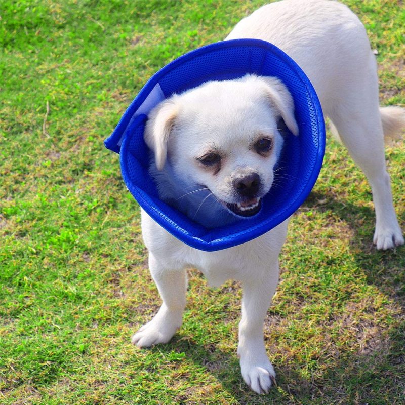 Breathable Mesh Cone Protective Recovery Collar for Pet Dogs Cats