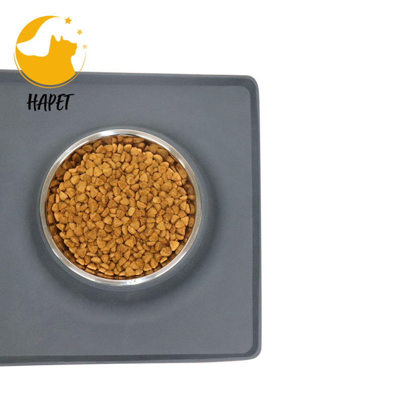 Dog Dish for Small Dogs Cats Puppies Double Pet Feeder Bowls with Silicone Mat Stainless Steel Cat Food and Water Bowls