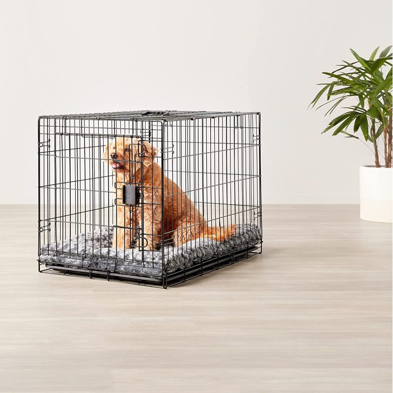 Dog crate with a single front door entry Foldable Metal Wire Dog Crate with Tray, Single Door, 22 Inch