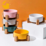 Double Cat Bowls, Puppy Ceramic Food and Water Bowls Set, Indoors White Pet Bowls with Wood Stand