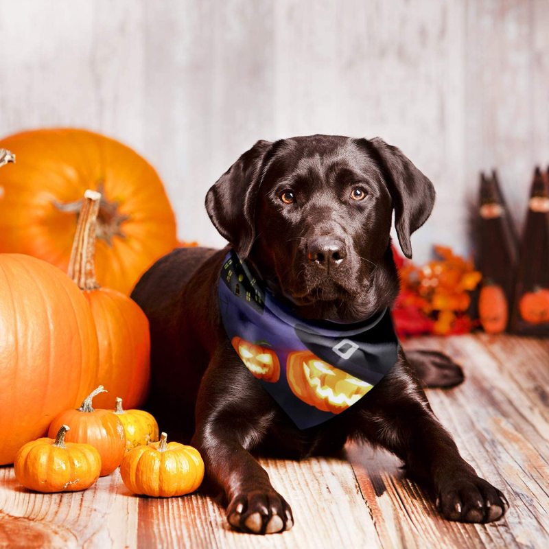 Halloween Dog Bandanas Washable Halloween Pet Bibs Kerchief Costumes Accessories